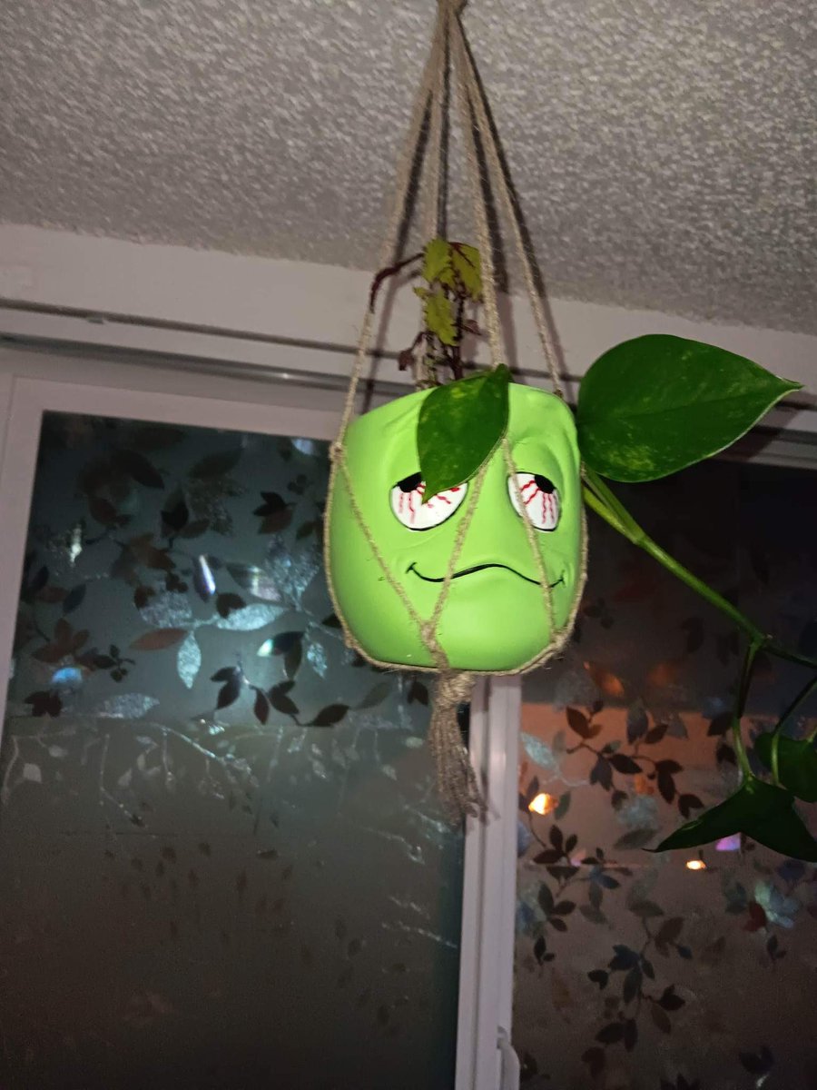 ELPatrickStar's tweet photo. https://t.co/743lJiyZZI