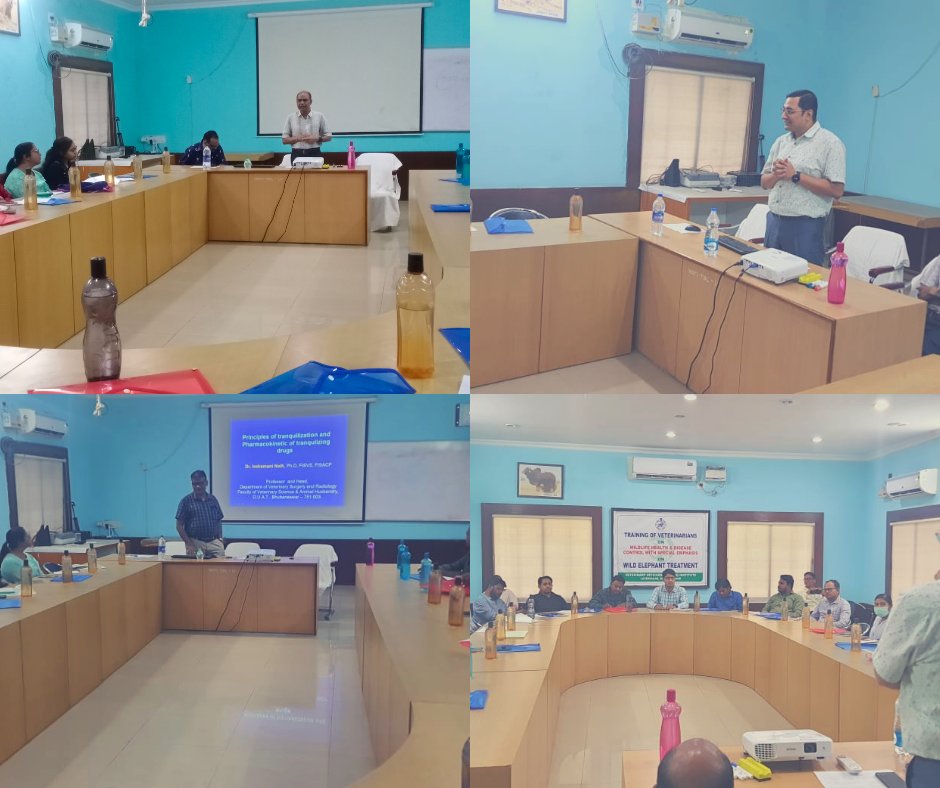 On the first day of three day training programme (8th batch), Experts sharing their experience on different issues related to wild animal treatment, tranquilization techniques and how to collect and despatch samples in field conditions.