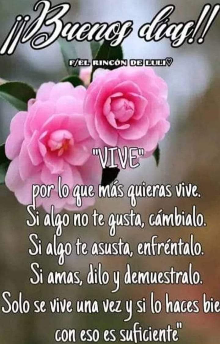 No pierdas esa esperanza de un nuevo día 😊