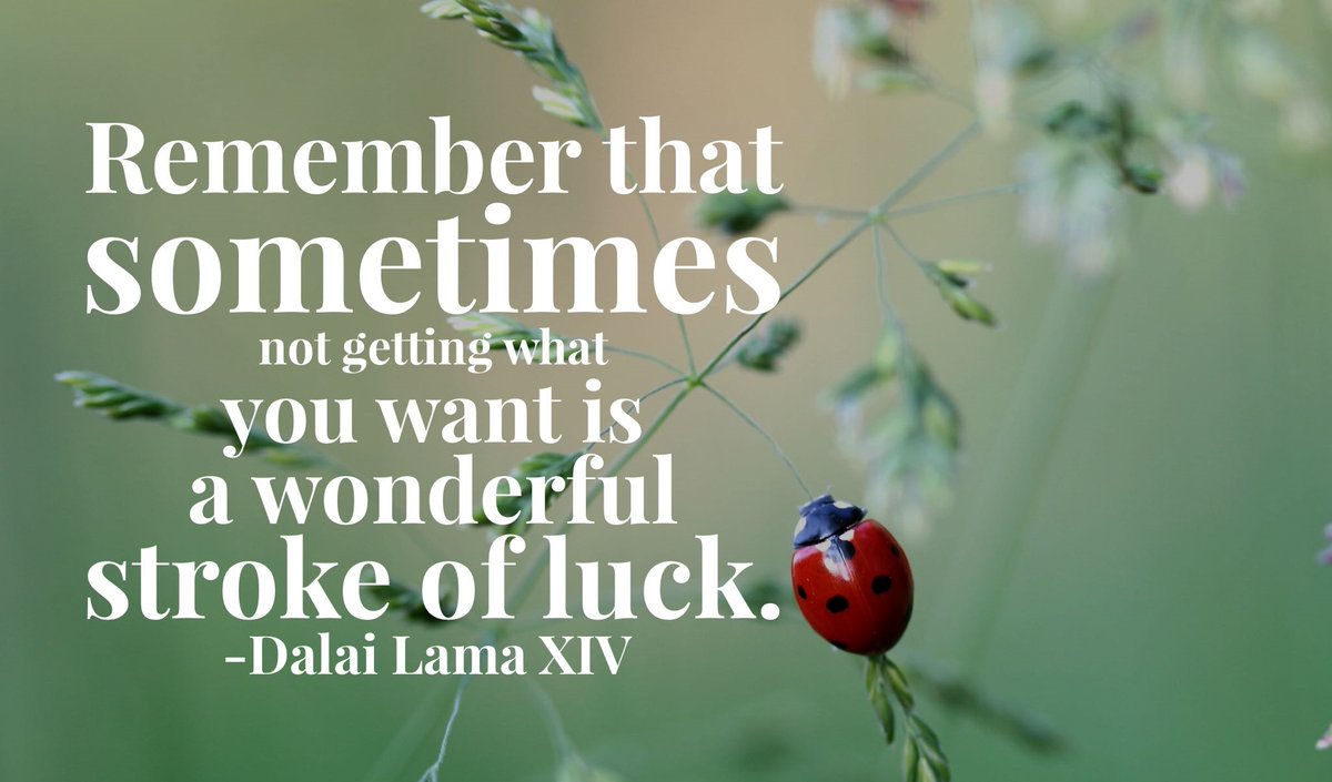 BryantCPA's tweet photo. Remember that sometimes not getting what you want is a wonderful stroke of luck. #Friday #FridayFeeling #Shamrock #HappyStPatricksDay #StPatricksDay #Luck #StrokeOfLuck https://t.co/IvLsEqlmMw