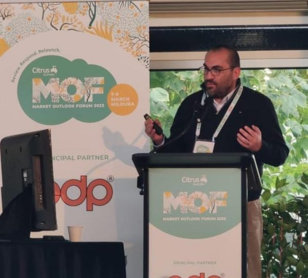 federcitrus's tweet photo. 🆕Presentan análisis de #producción y #exportación de #cítricos del hemisferio sur
Nota 👉https://t.co/qvFWTSzBgj
@SIMFRUITdeASOEX
#CuidemosNuestrosCitricos #citricultura #campo #federcitrus https://t.co/JGaTXnKZ8u