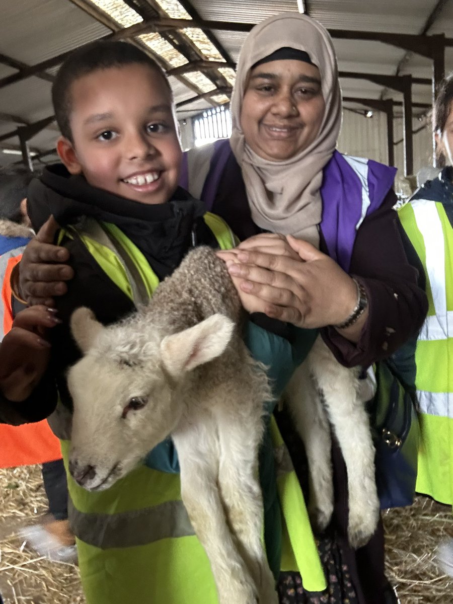 APSMissKR's tweet photo. Meeting the lambs @AndertonPark @LEAFEd_WM https://t.co/Yf5EQNZJgk