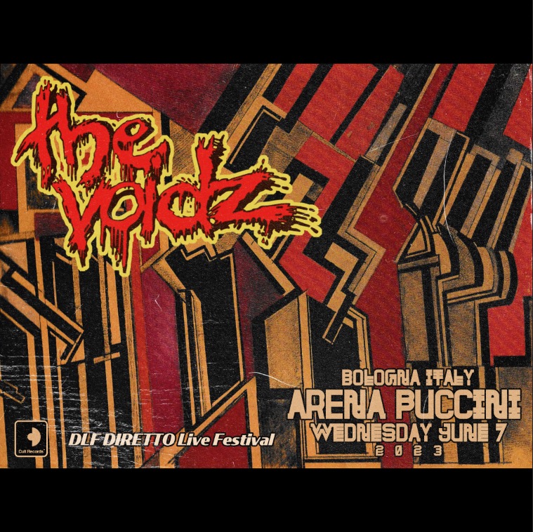 The Voidz LIVE IN ITALY