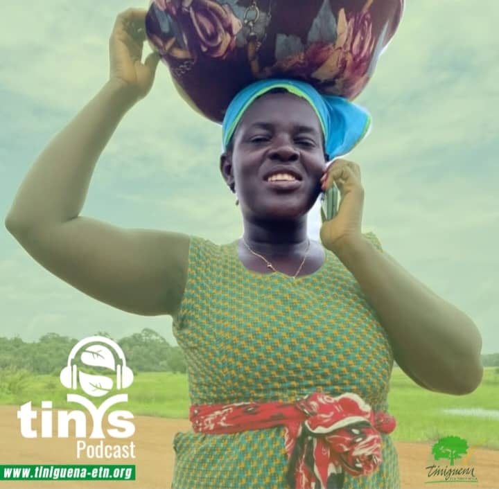 EstaNossa's tweet photo. Com o  novo website da Tiniguena, pode acompanhar o nosso programa Tinis Podcast, pela Internet a qualquer altura. 

📌Acesse: https://t.co/0zwIrw8xqu

#tiniguena 
#estaterraenossa
#guinebissau

📸 @debarros_miguel https://t.co/gGyNIB6vzg