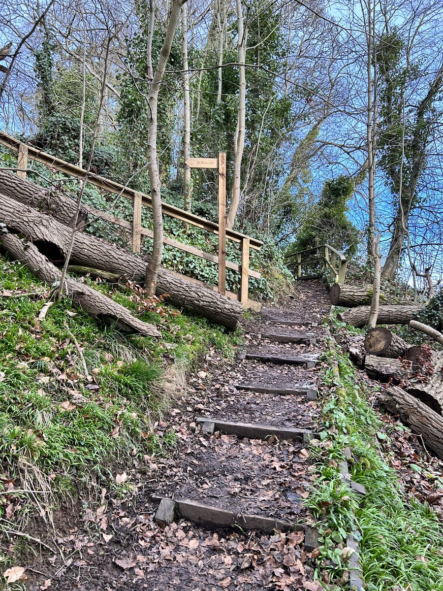 christine gow tweet media