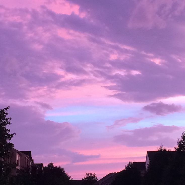 pretty purple skies.