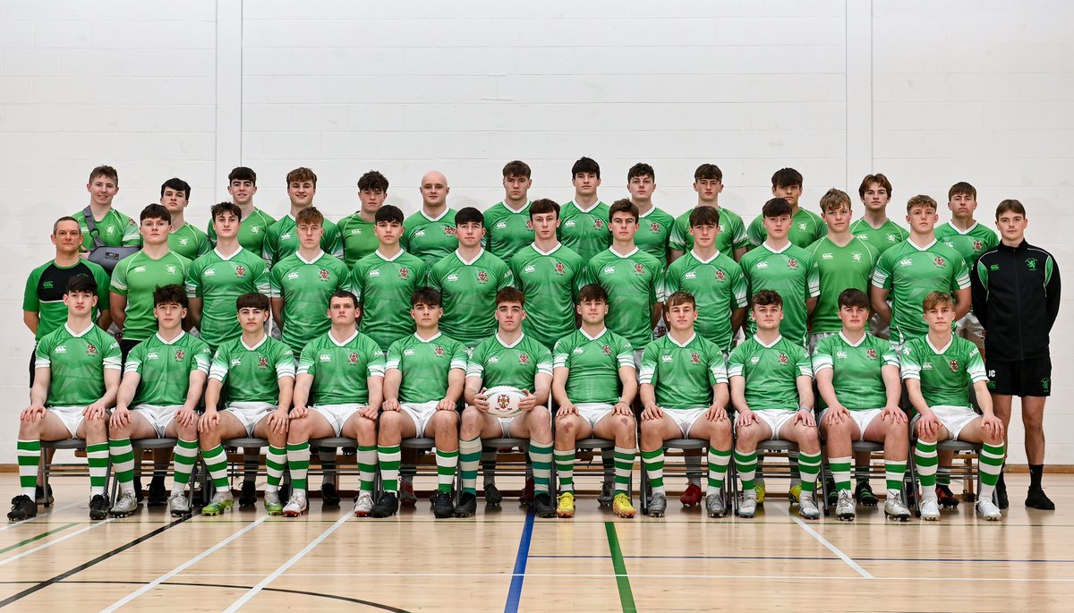 Leinster Domestic tweet media