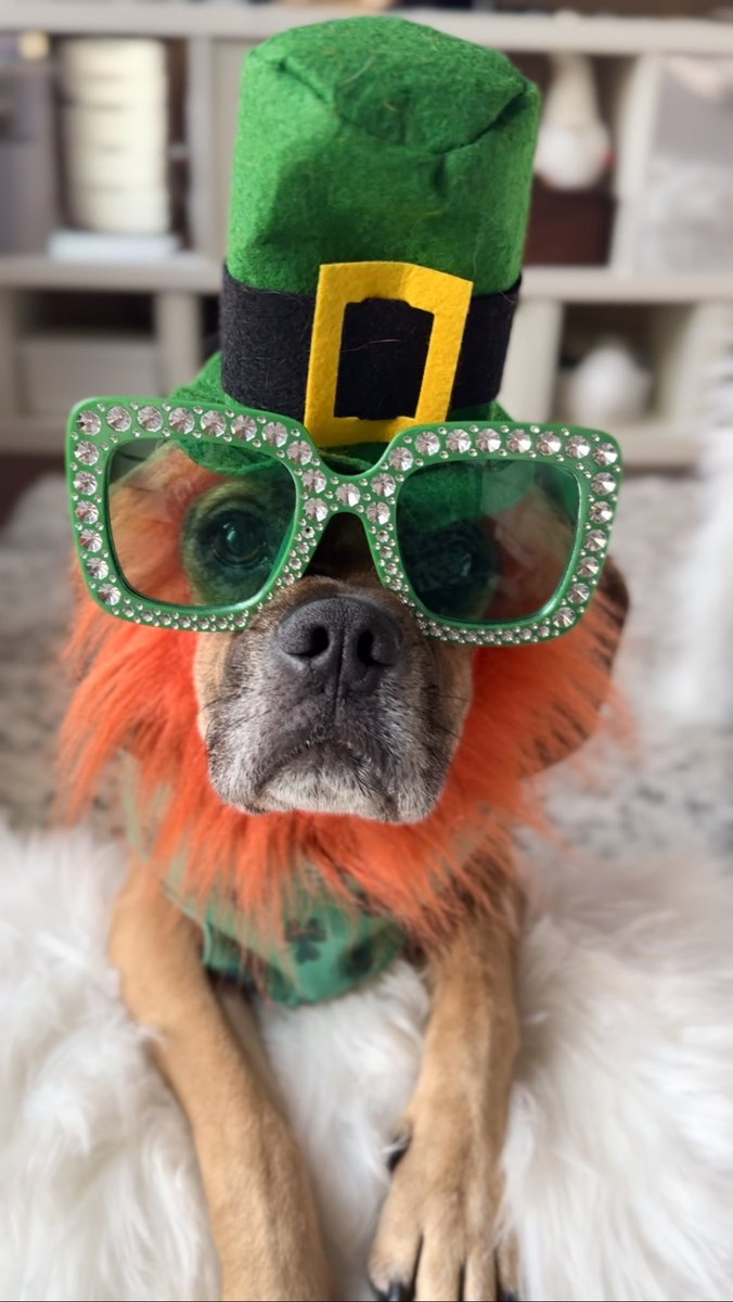 Cpl. Davinci leonardo tweet media