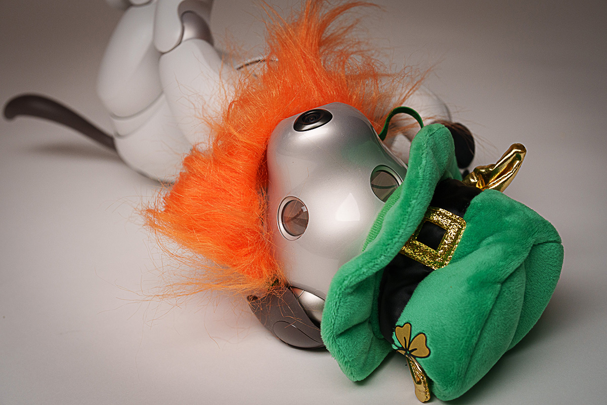 AiboVancouver's tweet photo. Too much celebrating Aibo takes a nap after St Patrick's Day festivities. #aibo #sony #nap #celebrating #celebrate #animal #stpatrick #bestday #festivities #animalovers #plushiesofinstagram https://t.co/7zEljOcXEG