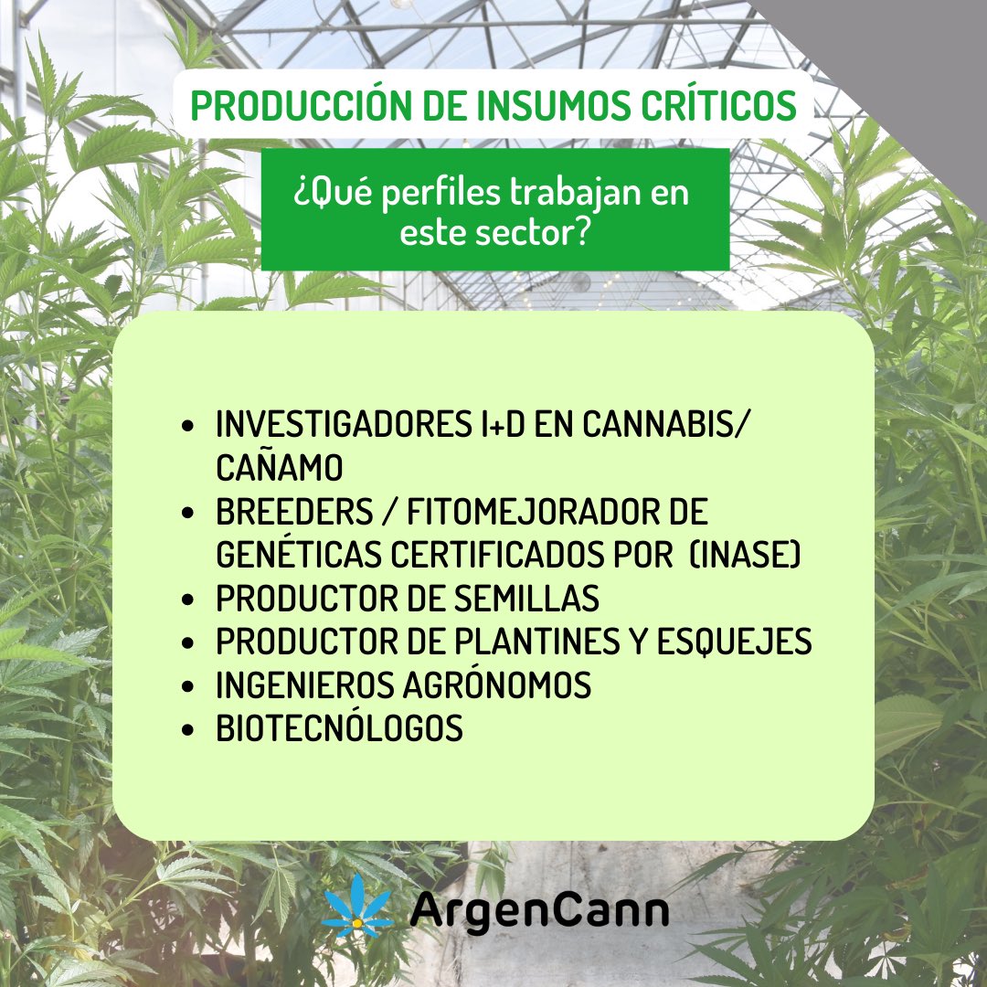 ArgenCann's tweet photo. PERFILES DE LA CADENA PRODUCTIVA DEL CANNABIS

🌱CULTIVO (primera parte)

Hoy nos proponemos conocer qué perfiles podemos encontrar en la producción de insumos críticos y también conocer a quienes llevan a cabo algunos de estos procesos en nuestra industria. https://t.co/E5sAscPica