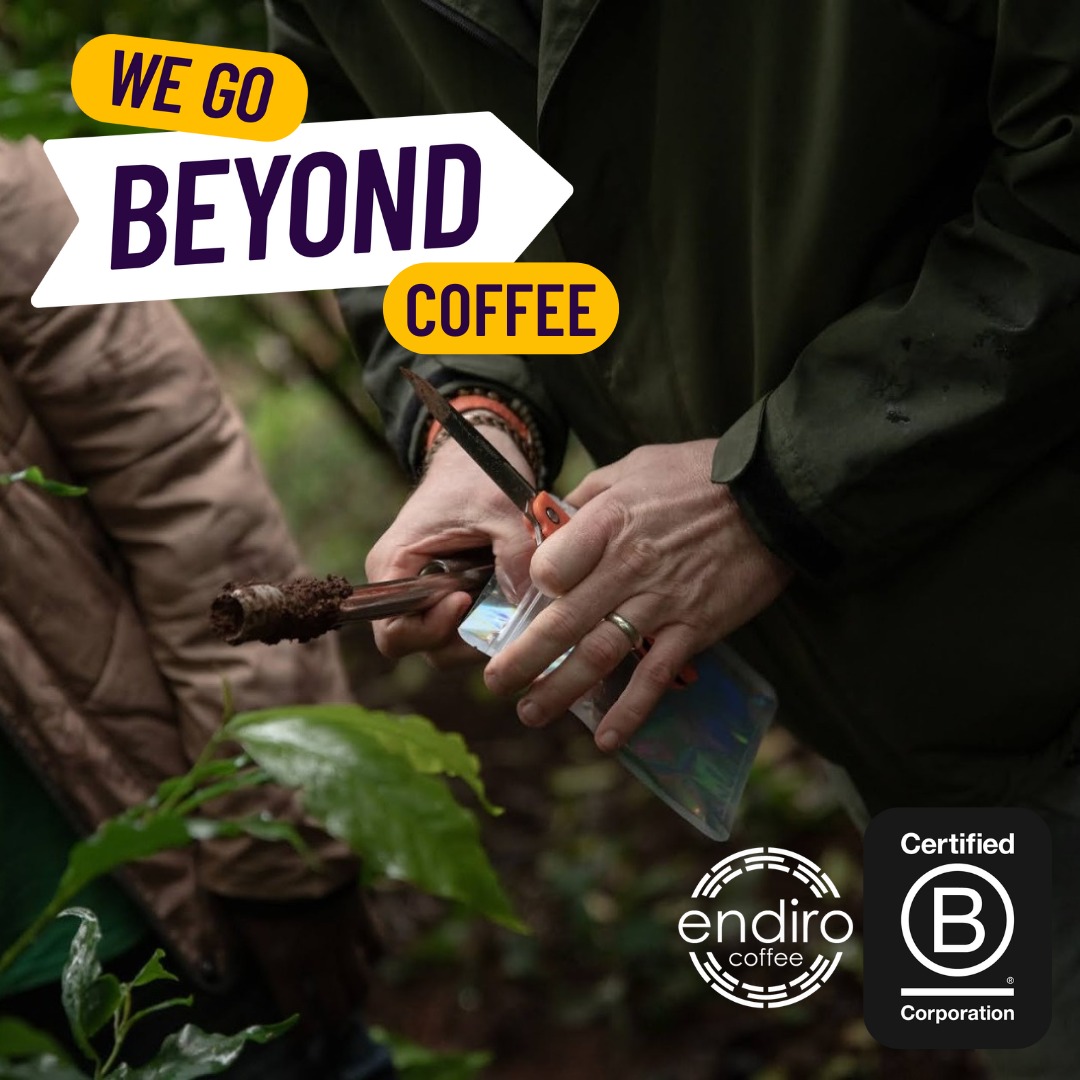 EndiroCoffee's tweet photo. Being #Bcorp certified we have a reliable program to ensure we are preserving Uganda’s natural environment for generations to come. Educating our farmer leaders how to practice sustainable farming, testing the soil, finding natural ways to grow our coffee. https://t.co/0XhkOG16yv