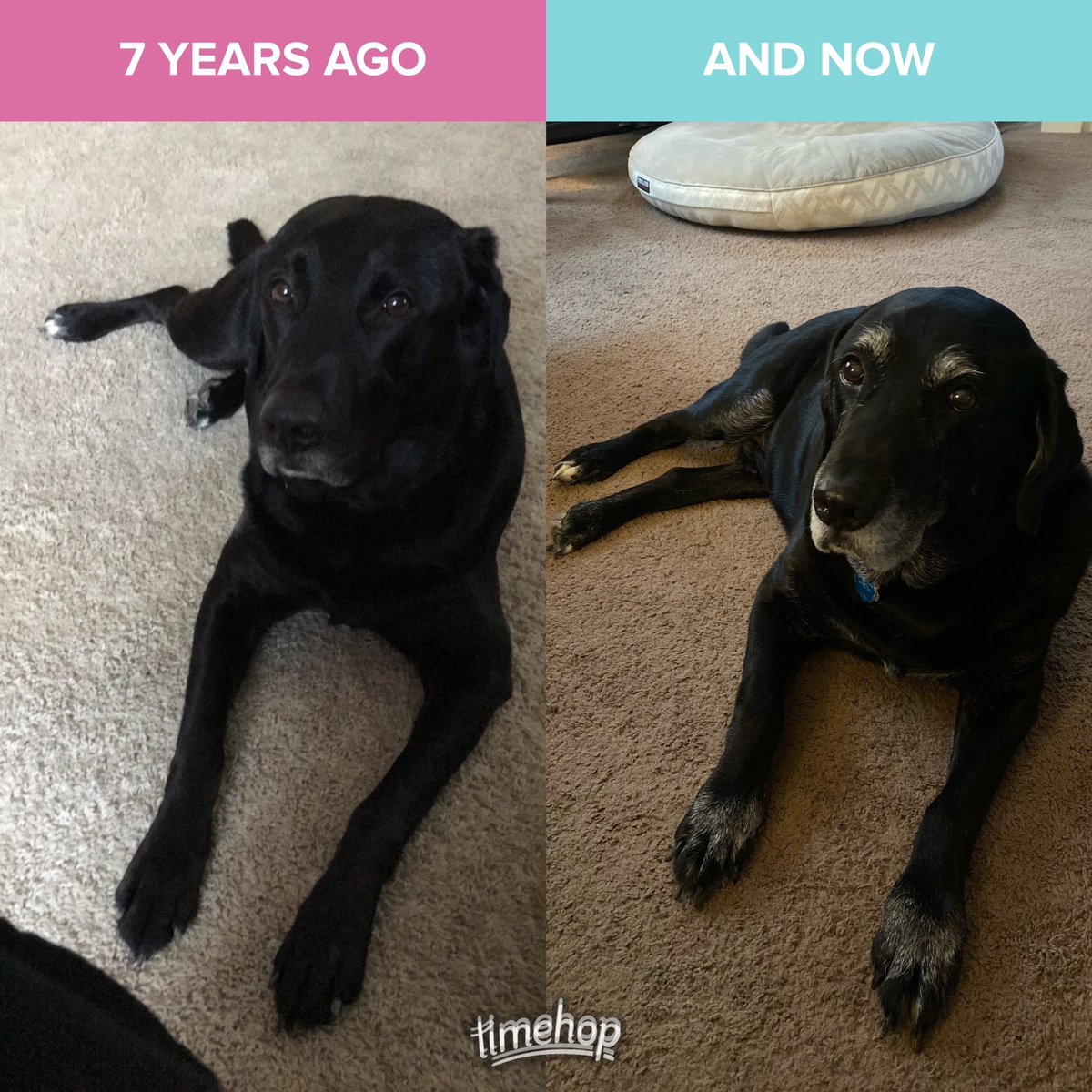 SabesTheBabe's tweet photo. I’m not crying - you’re crying! https://t.co/Q0DPiz57Qe