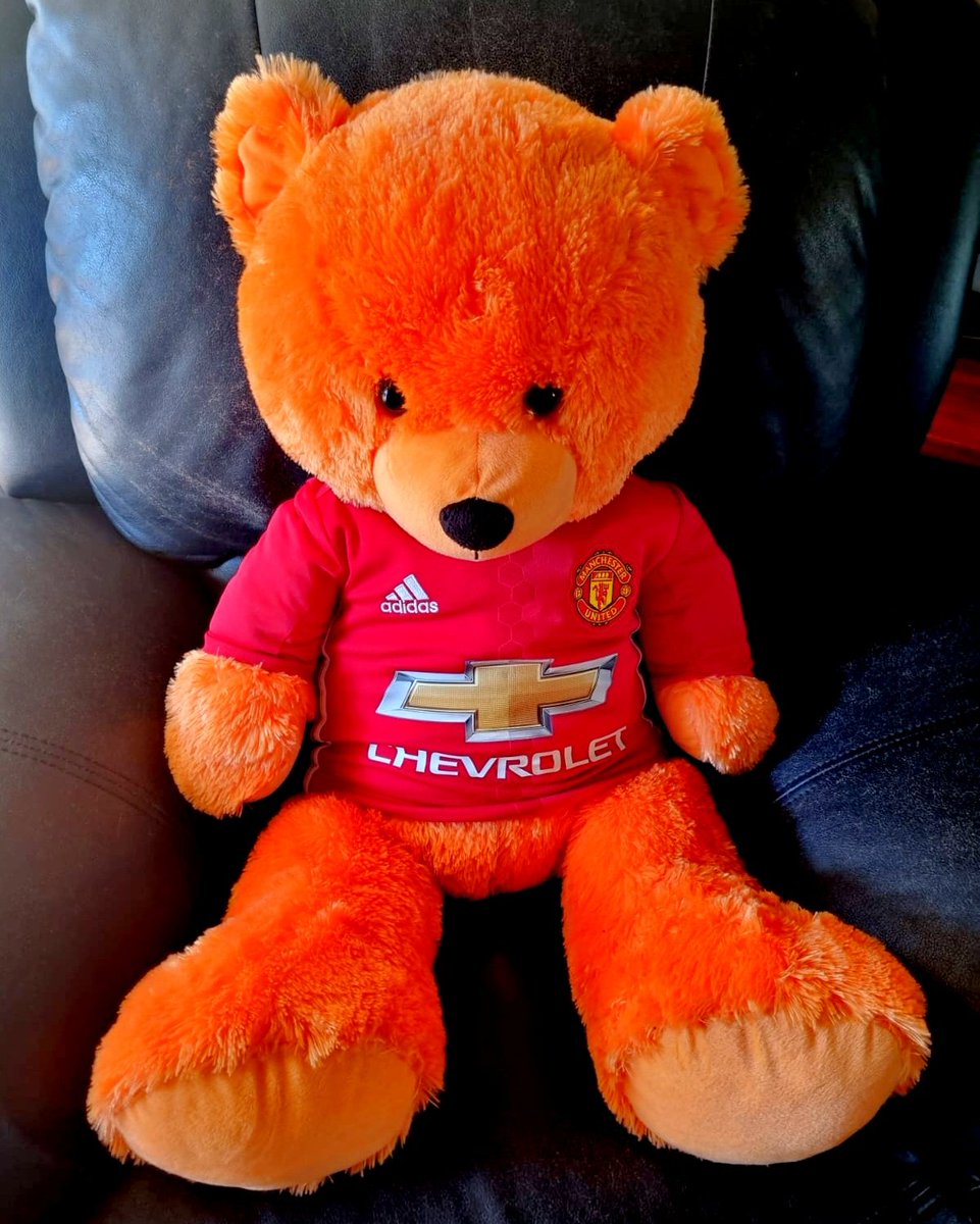 Lucelle02's tweet photo. Even the teddy bears in our home is supporting the right team๐ #manchesterunited #manunitedfc #mufc #mufcfam https://t.co/wJbQD1kAbh