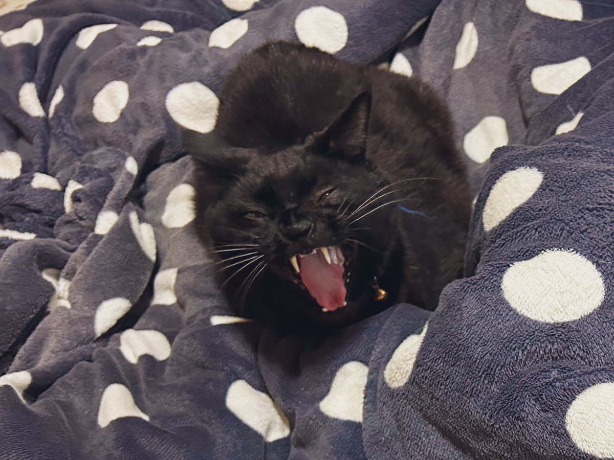 あくび切り抜き 