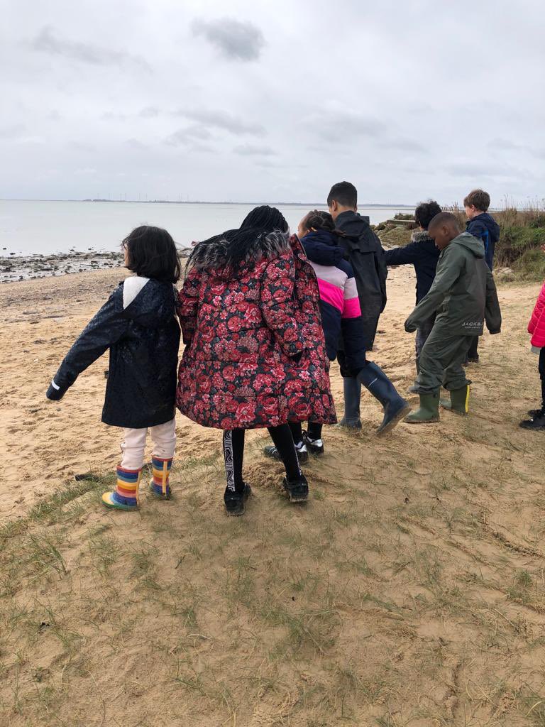 CedarFoxfield tweet media