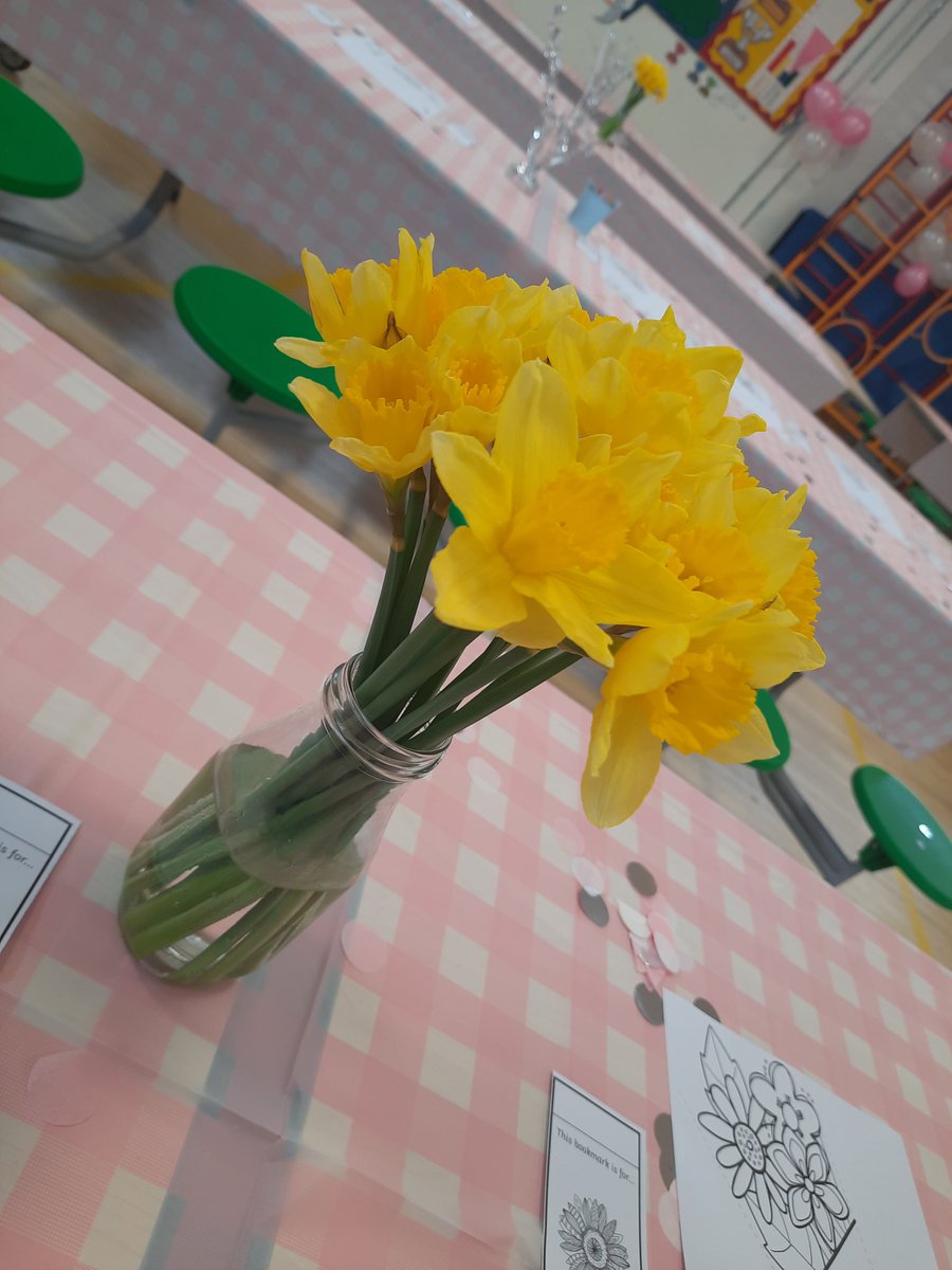 Maltese Road Primary tweet media