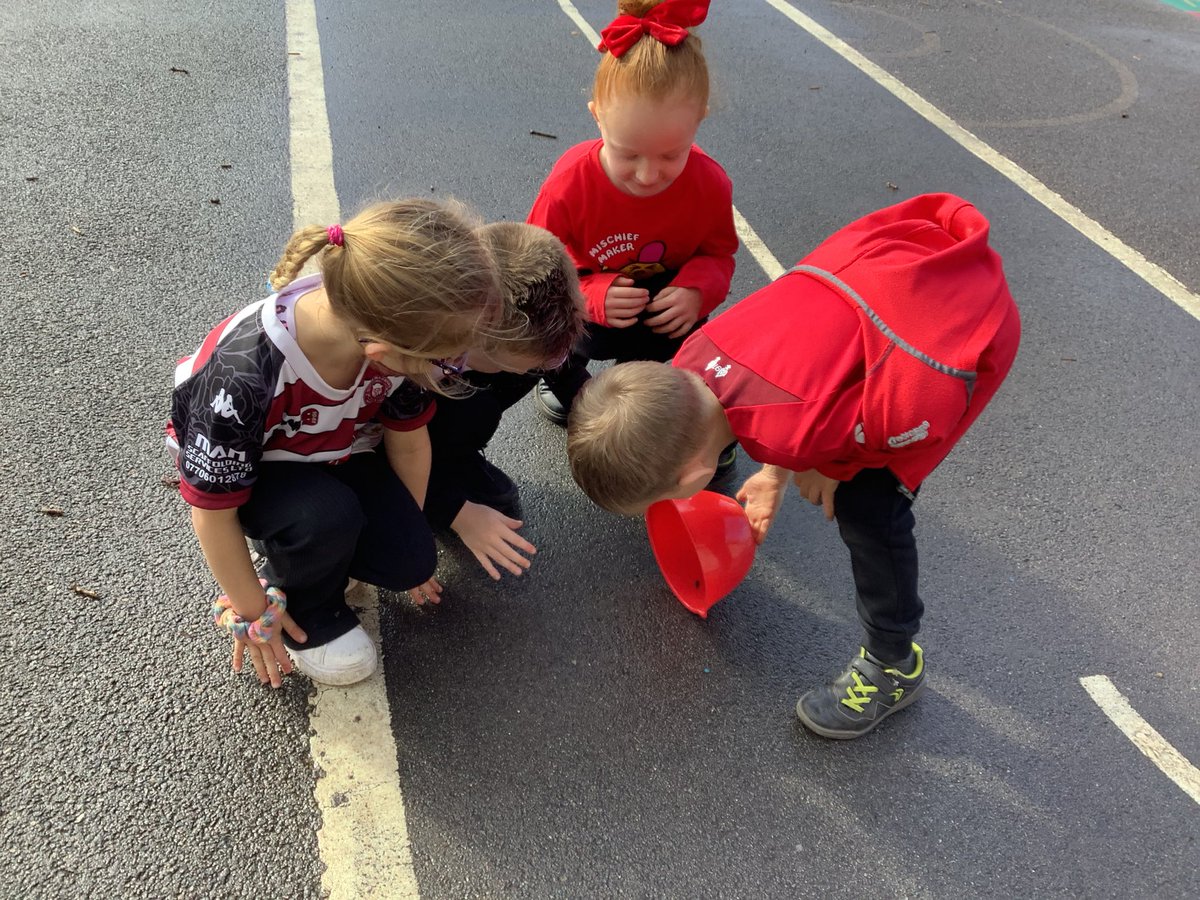Class1Aspull's tweet photo. Such caring children…helping a woodlouse to find a better home. #acpsvision #acpsvalues https://t.co/KwZPuzHeIC
