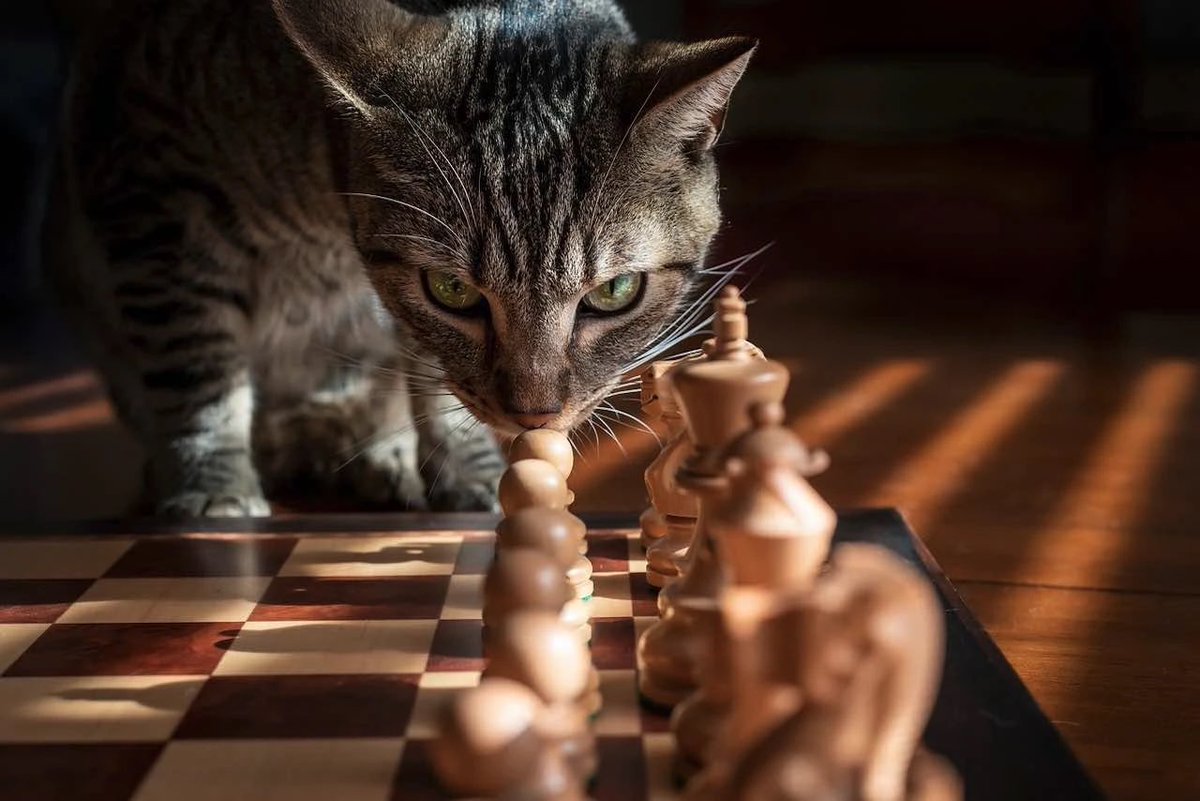 StrategieAchats tweet media