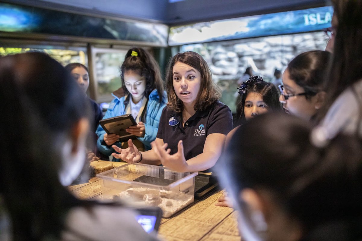 SheddLearning's tweet photo. Shedd's Learning Programs Department is hiring full-time &amp; seasonal positions! Help inspire &amp; engage the next generation with Shedd! #SheddEducator https://t.co/kZKxawJEuc. 

Full-Time Learning Facilitator
Seasonal Summer Camp Instructor
Seasonal Summer Camp Inclusion Specialist https://t.co/bNIUF0sZT3