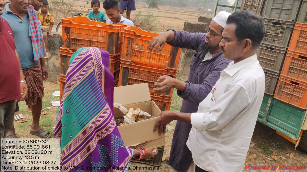 Distribution of chicks to SC and ST farmers and WSHG members in Rasulpur block and Dharmasala block of Jajpur District 
<a href="/CMO_Odisha/">CMO Odisha</a> <a href="/dahvsodisha/">Directorate of AH&VS Odisha</a> @farddept <a href="/MoSarkar5T/">MoSarkar 5T</a> <a href="/SecyChief/">ChiefSecyOdisha</a>