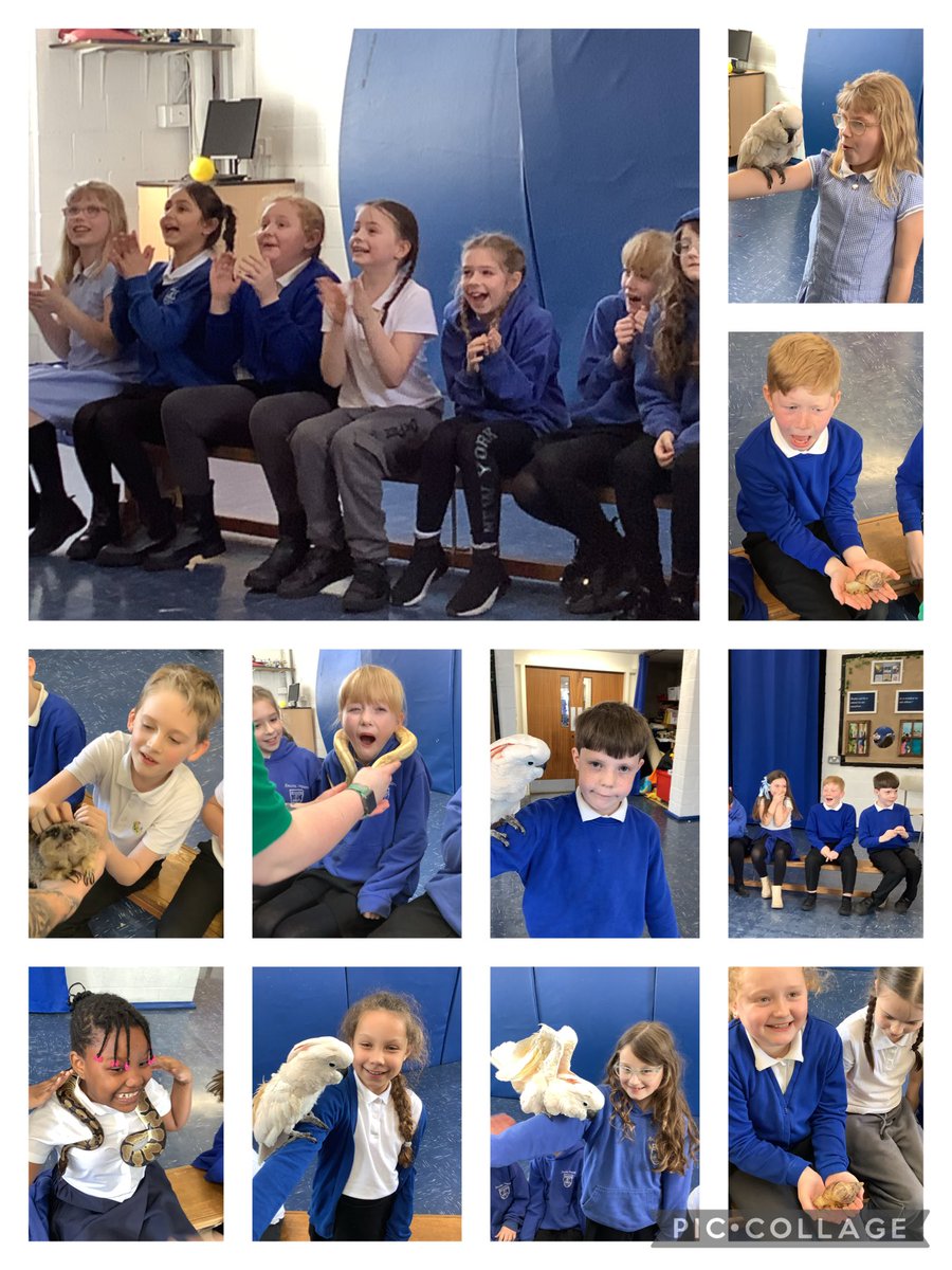 RPS_Larks's tweet photo. What a memorable day! The facial expressions say it all. A brilliant opportunity to learn about animals. #riversidesciencesquad https://t.co/5zlxaWXuGS