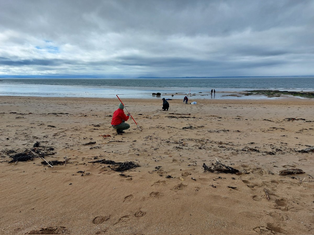 Dr Ian Pattison tweet media