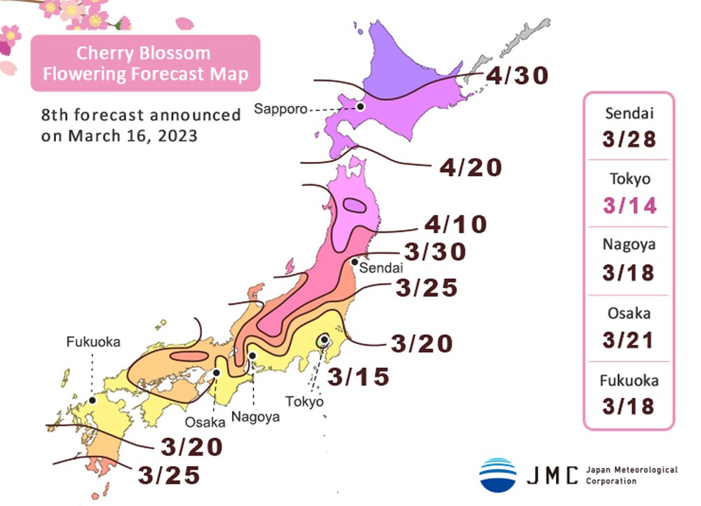 mrtnrey's tweet photo. Elke land z'n nationale passies. In NL geeft het KNMI gedetailleerde ijsdikteverwachtingen maar in Japan voorspellen ze nauwgezet de kersenbloesem. Dit is het bloesemweerbericht van gisteren!

Een iets langer vrijdag-🧵 over 🌸 met een vleugje 🚴... (1/7) https://t.co/1qXWKU5ZMf