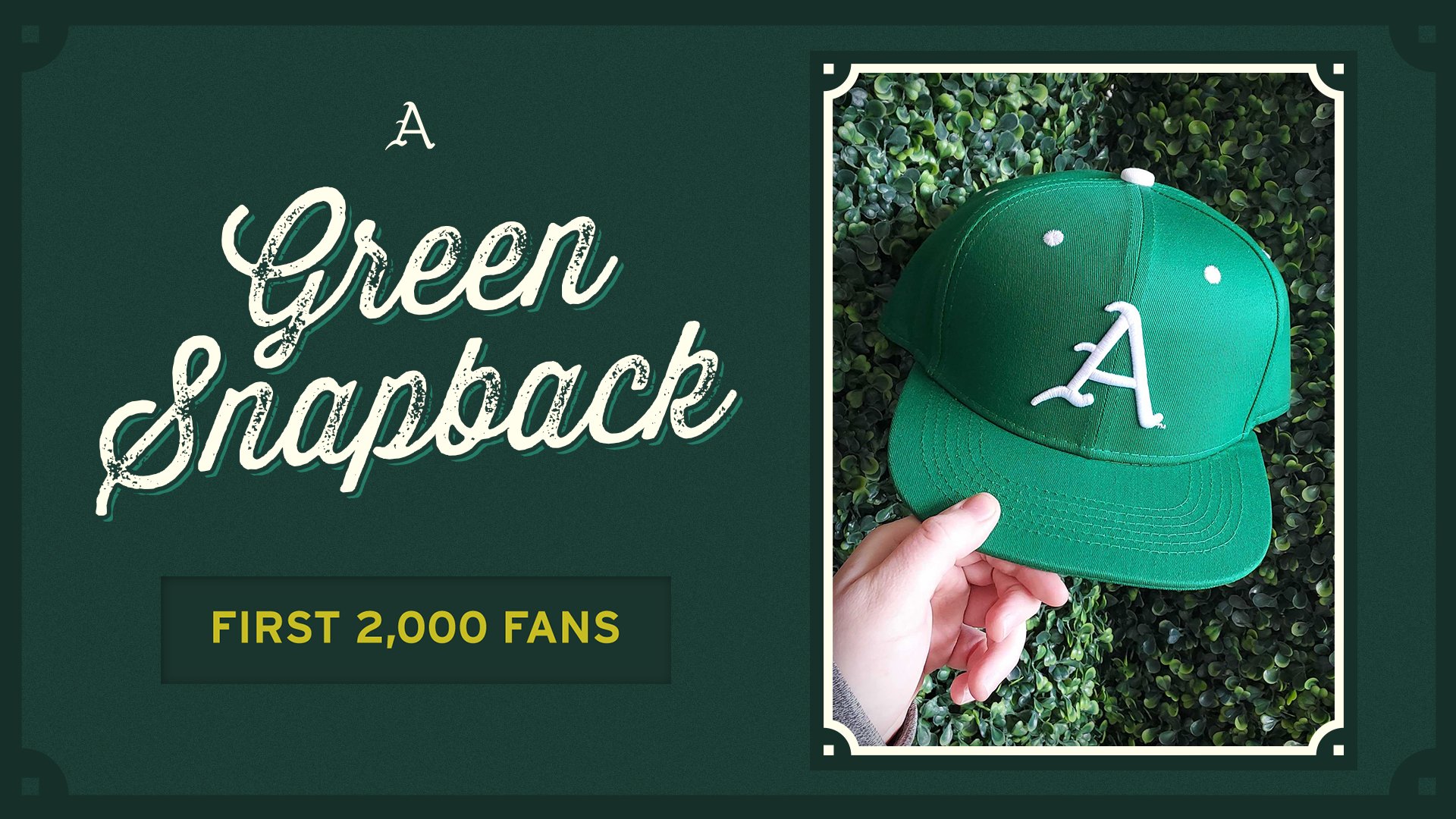 Razorback baseball best sale hats