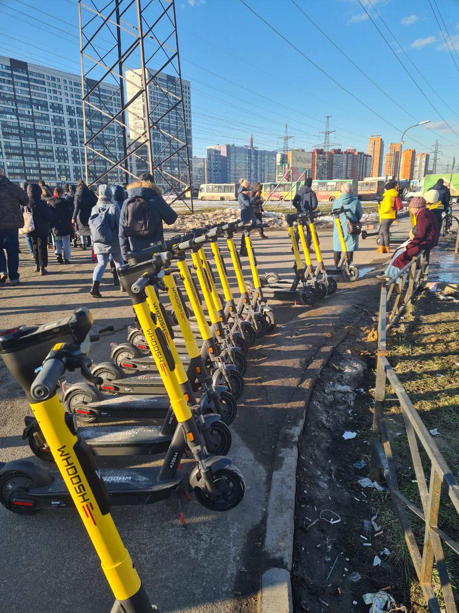 Wild_SPb's tweet photo. Берегитесь. Они возвращаются https://t.co/CNYdrS5lLO