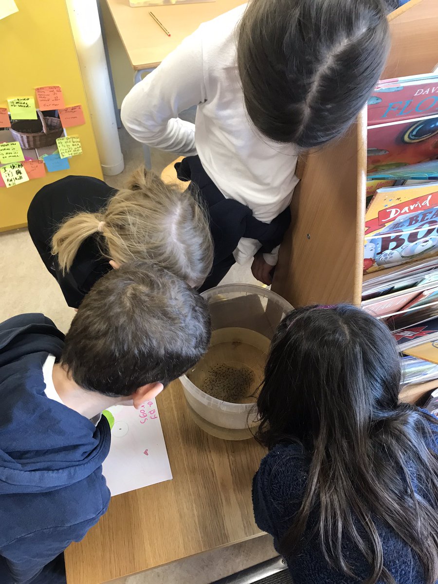 Ged Thomason tweet media