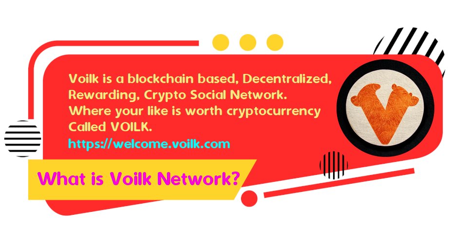 Voilk Network tweet media