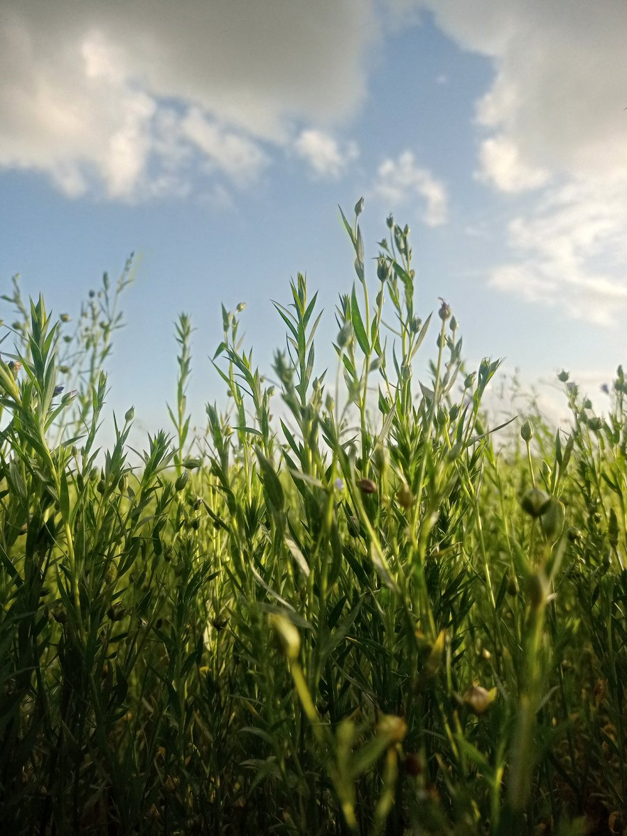 قمة الراحه النفسيه 🥰🥰🥰🥰