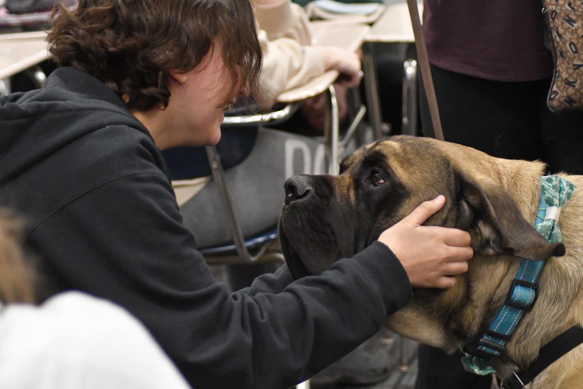 Lake Shore Public Schools tweet media