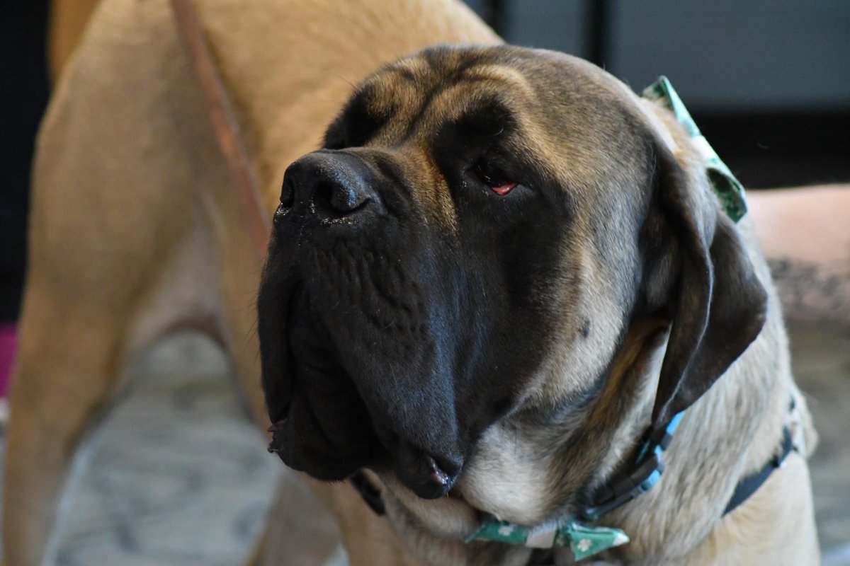 Lake Shore Public Schools tweet media