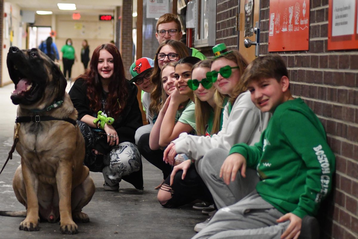 Lake Shore Public Schools tweet media