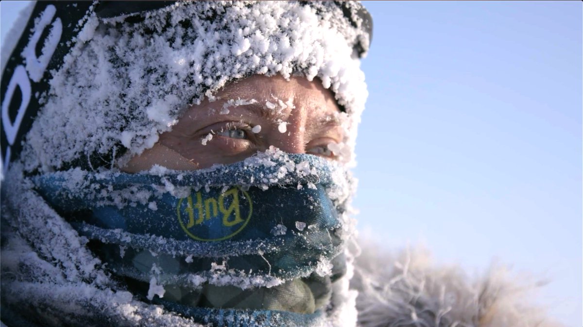 EXPOSURE إنكشاف tweet media