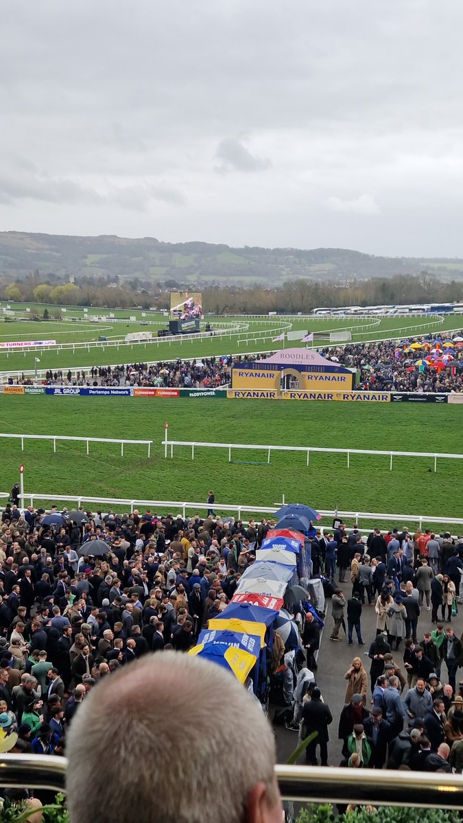 Antony Watkins tweet media