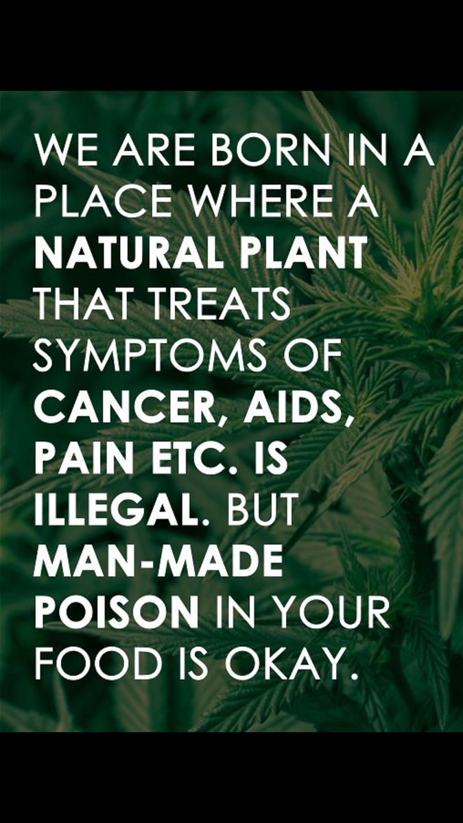 Choosing what we put in our bodies should be our choice!  Having access to #Cannabis is a must, it brings relief to so many!! #LegalizeIt #CannabisCommunity #Mmemberville #FreeThePlant