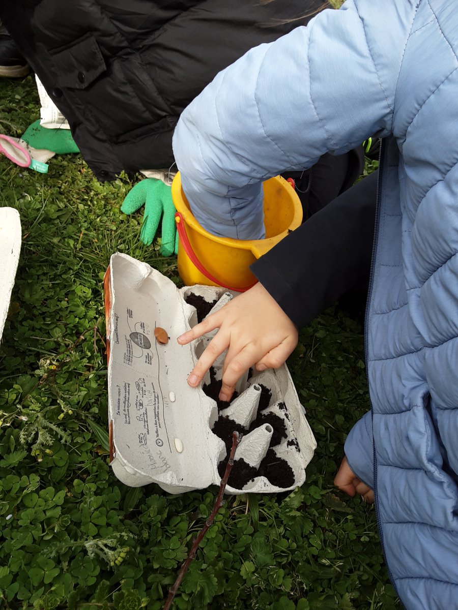 CChalandray's tweet photo. #EPS On a joué au foot. On a été dans le jardin - on a observé les différentes graines puis on les a semées (carotte, salade, radis...) et on a planté des avocats. On a aussi observé et dessiné des branches avec des bourgeons. On a observé les fleurs du printemps. https://t.co/WzM2kWpne2