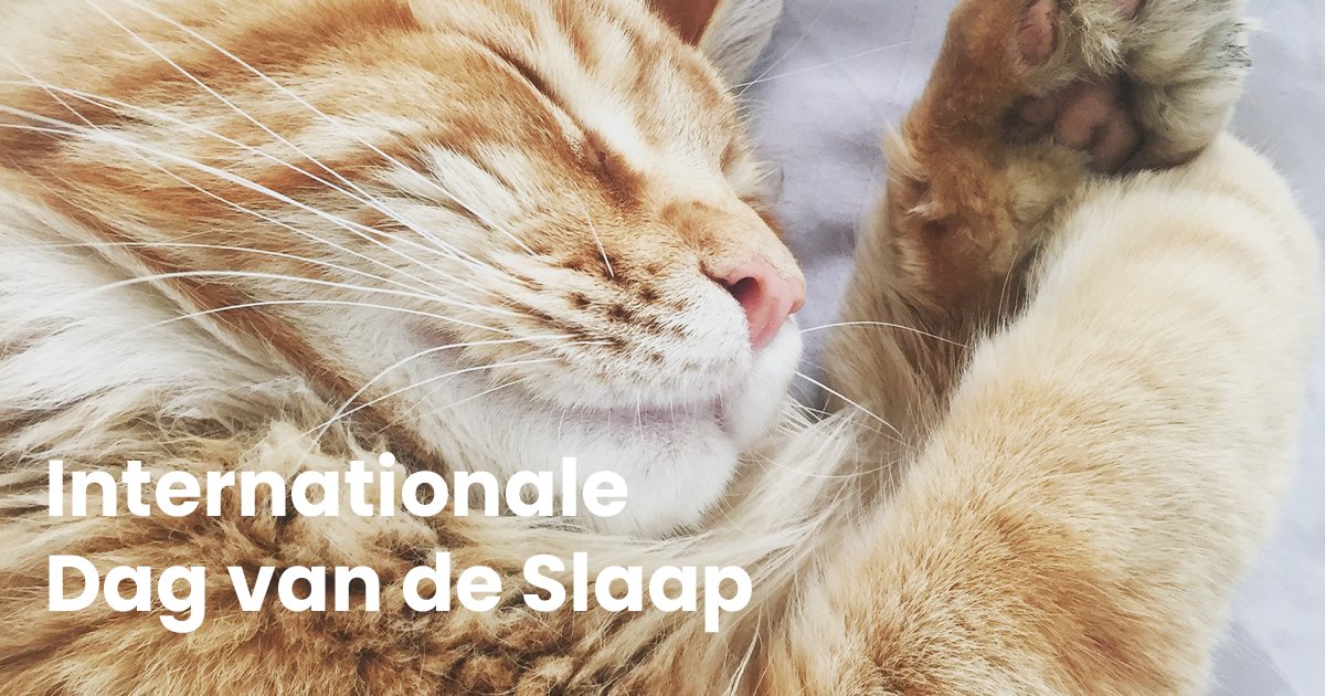 Vandaag is het Internationale Dag van de Slaap. Epilepsie en slaap kunnen invloed op elkaar hebben. Wist je dat <a href="/EpilepsieSEIN/">SEIN</a> en <a href="/Kempenhaeghe/">Kempenhaeghe</a> ook gespecialiseerd zijn in het behandelen van slaapproblemen?
#epilepsie #slaap #dagvandeslaap #worldsleepday #brainawarenessweek