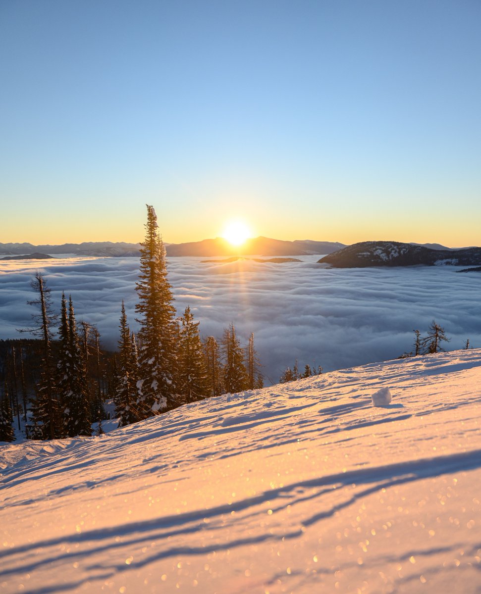 redresort tweet media