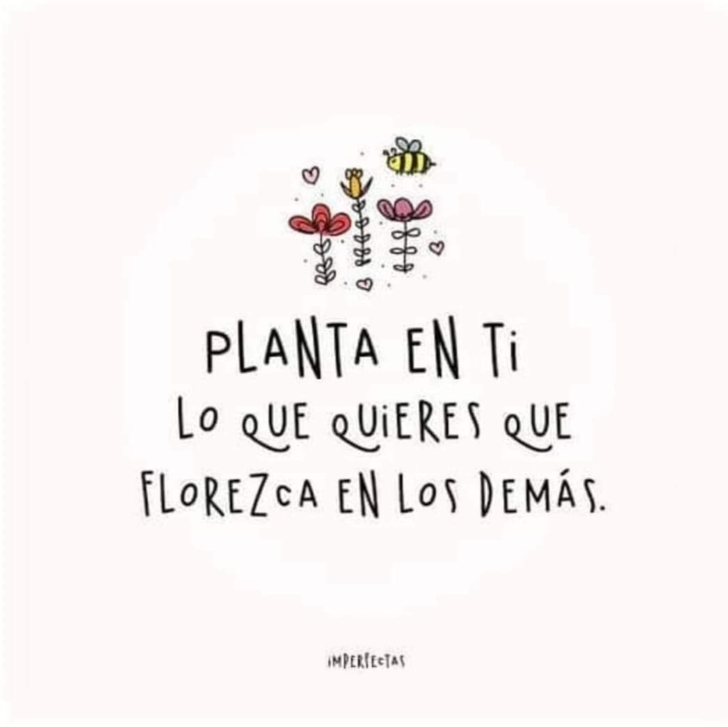 Plantar #ÁrbolesNativos y Frutales es sembrar Amor, Identidad y Futuro...
#EcoWiluz  #MujerHuertera
#AgriculturaRegenerativa