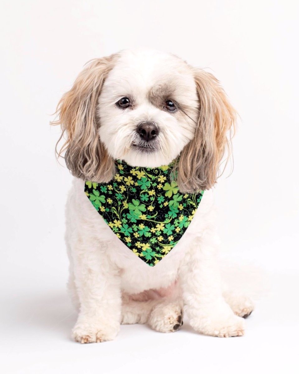 Happy St. Patrick's Day! 🍀