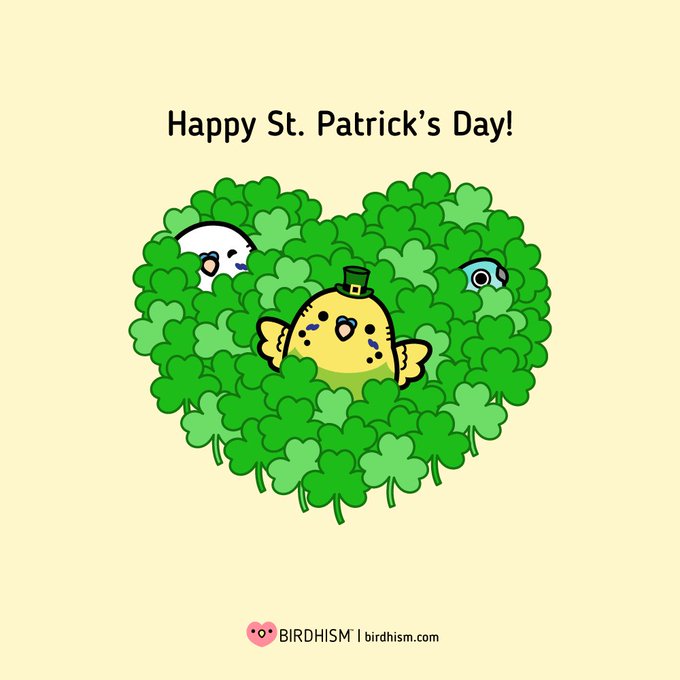 The Budgie Bros. (and Shy Sushi) wishing you a very Lucky St. Patrick's Day! 