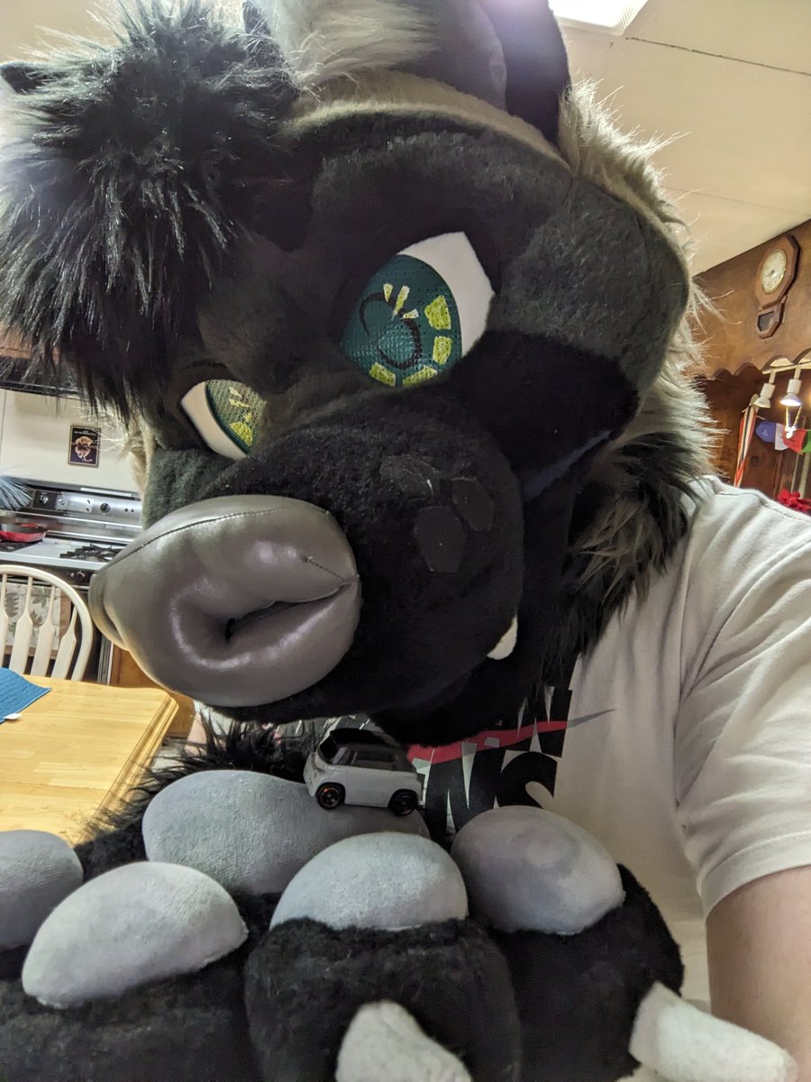 May I interest you in an ✨Ami✨ on this #FursuitFriday?

Suit by the awesome <a href="/mostlybaddog/">Mostly Bad</a>