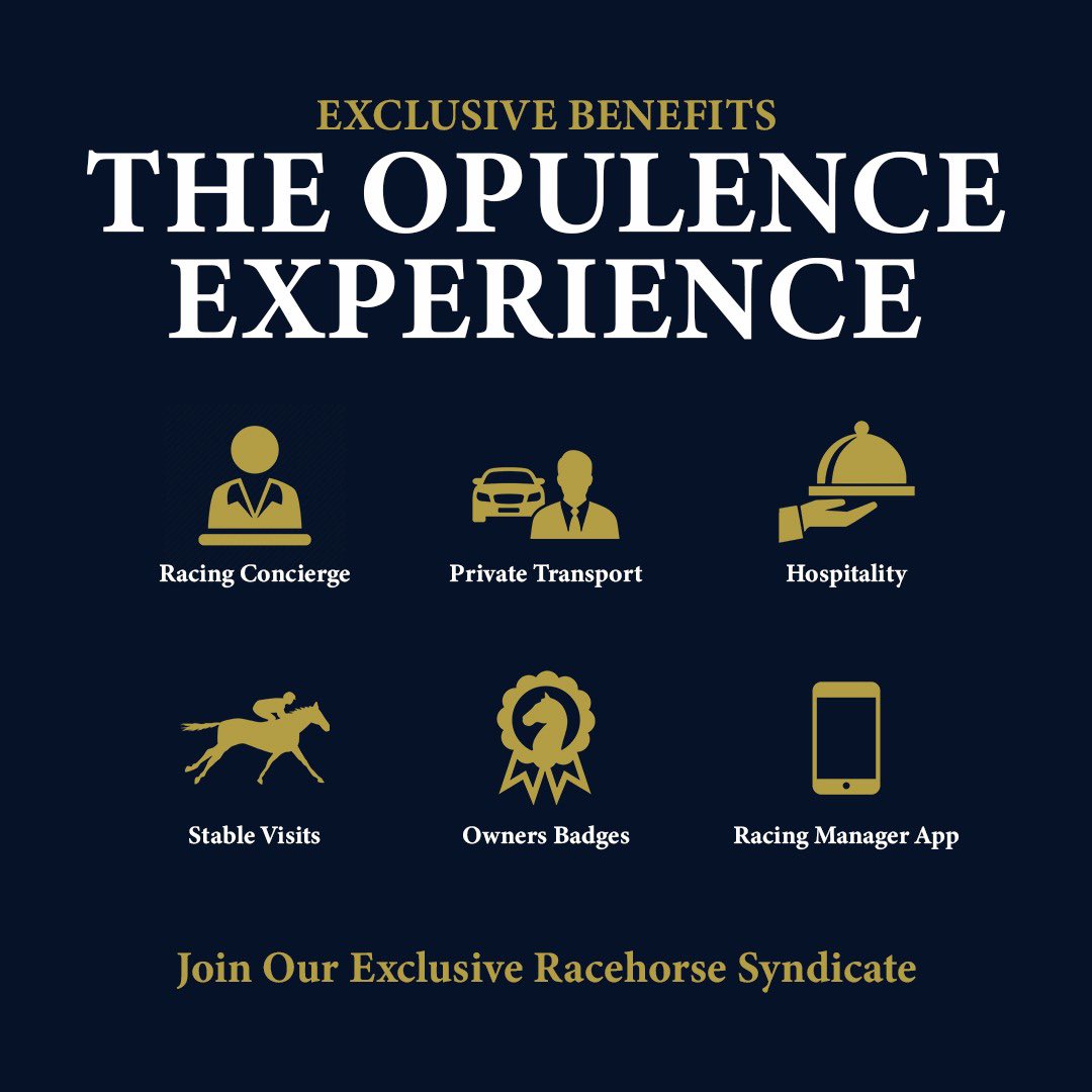 Thinking of becoming an owner? Join us for the Opulence experience 🐎

#OpulenceThoroughbreds 

#horses #horseracing #racehorse #thoroughbreds #ownaracehorse #racingsyndicate #horseracingsyndicate