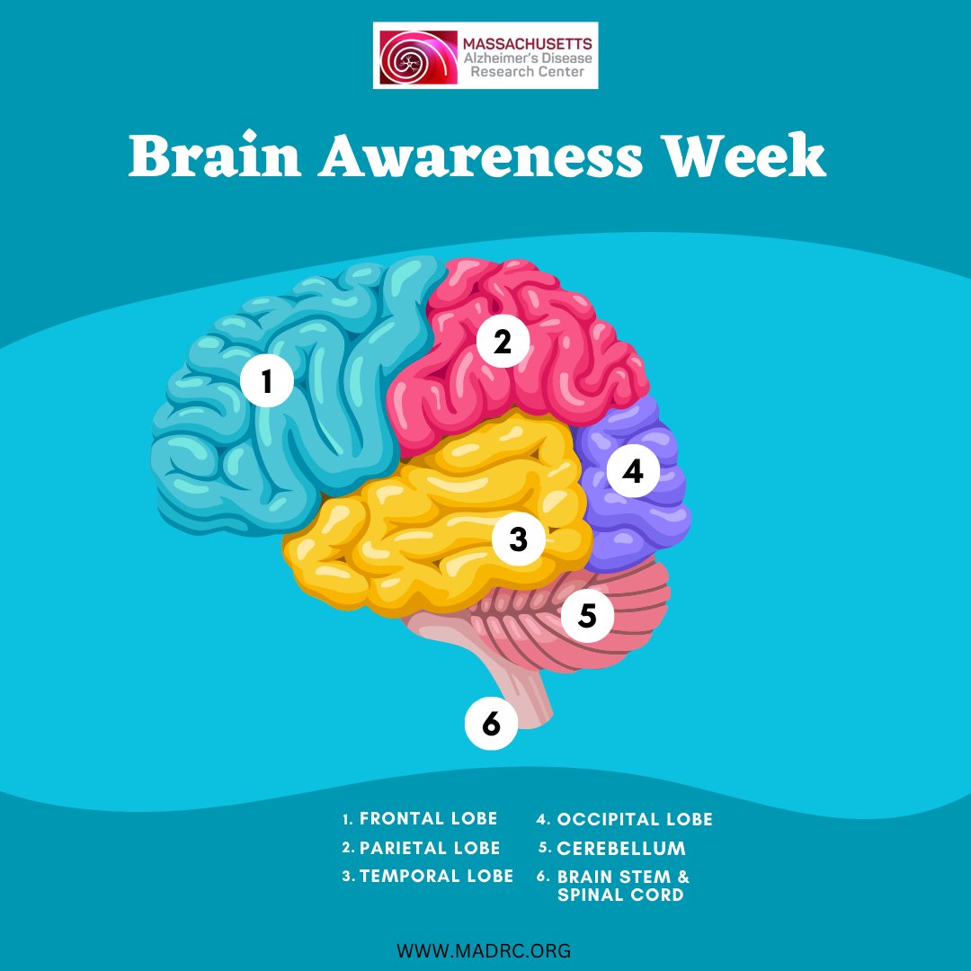 How Can Research Improve Lives?  Massachusetts Alzheimer's Disease  Research Center