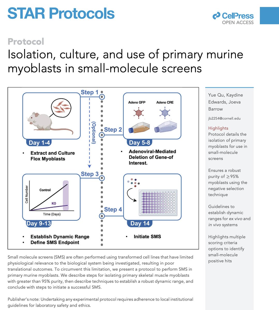 Dr. Joeva Barrow (@labbarrow) on Twitter photo So excited to share our work detailing robust methods to perform small molecule screens in primary MuSCs to maximize physiological relevance to mitochondrial disease and other myopathies. Congrats Yue and Kaydine! tinyurl.com/2cswpy7d <a href="/STARProtocols/">STAR Protocols</a> <a href="/CornellCHE/">Cornell Human Ecology</a> <a href="/CornellNutri/">Nutritional Sciences at Cornell</a> So excited to share our work detailing robust methods to perform small molecule screens in primary MuSCs to maximize physiological relevance to mitochondrial disease and other myopathies. Congrats Yue and Kaydine! tinyurl.com/2cswpy7d <a href="/STARProtocols/">STAR Protocols</a> <a href="/CornellCHE/">Cornell Human Ecology</a> <a href="/CornellNutri/">Nutritional Sciences at Cornell</a>