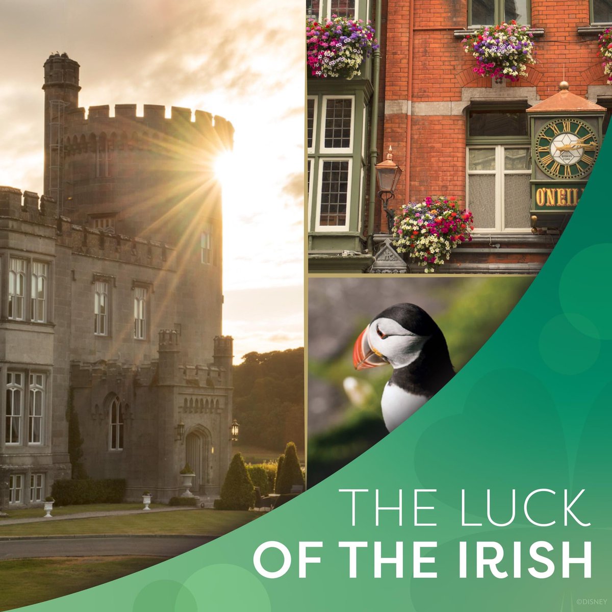 Have you always dreamed of visiting Ireland but not sure what to see or where to stay? Let Adventures By Disney be your guide! Experience all the beauty of Ireland while traveling in comfort with all the Disney service!
Contact me today for your free no obligation quote!!