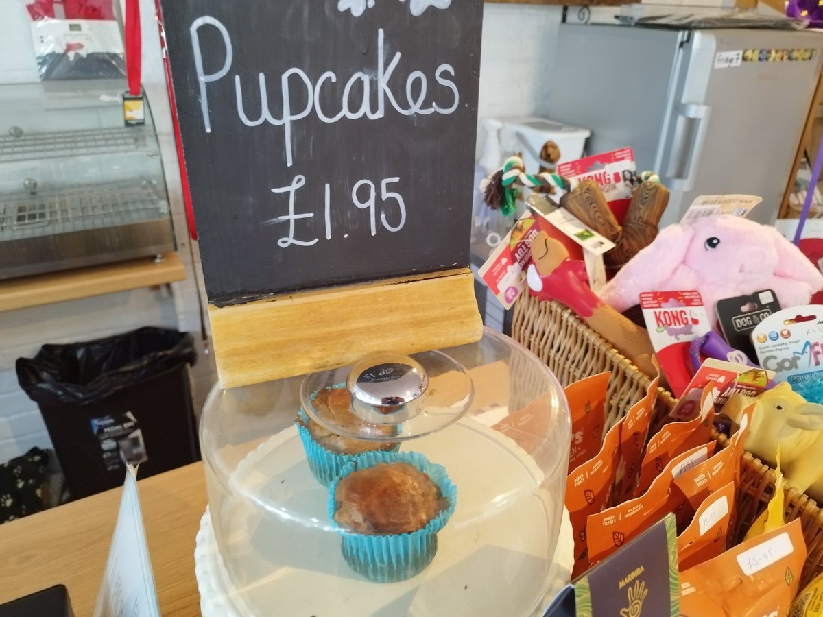 ZebedeeZebedog's tweet photo. We went to lunch at the Cobblestone Tea House in Steyning which has a special doggie section. They had boring toasted sandwiches. I had a pupcake and very nice it was too. https://t.co/y1JFJfQOWn